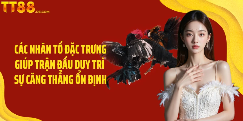 Các nhân tố đặc trưng giúp trận đấu duy trì sự căng thẳng ổn định
