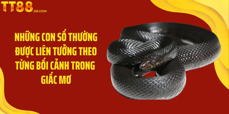 Những con số thường được liên tưởng theo từng bối cảnh trong giấc mơ